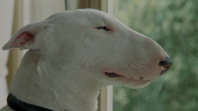 Baxter still 4