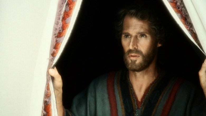 Solomon still 3