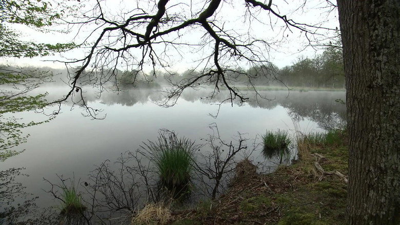 Nature's Palace still 4