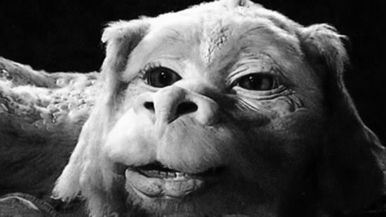 The NeverEnding Story III still 5