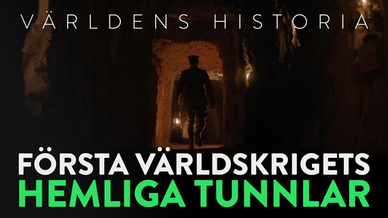 Arras 1917, l'histoire des tunneliers néo-zélandais still 1
