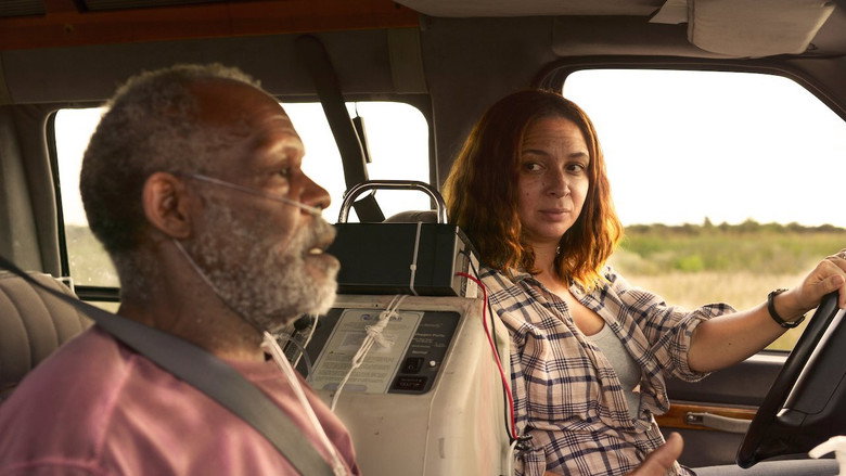 Mr. Pig still 4