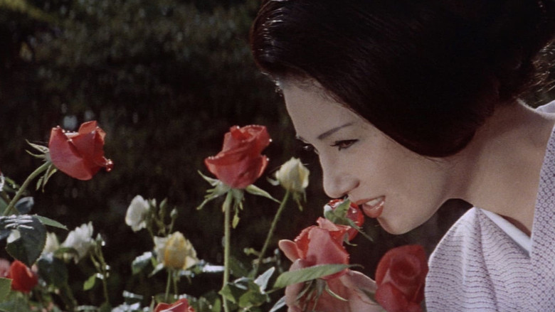Flower & Snake still 5