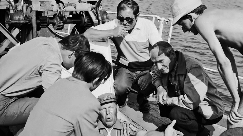 The Cruise still 1