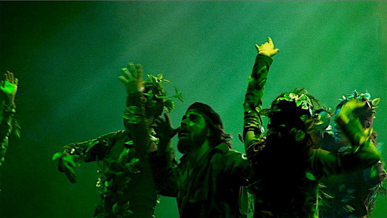 Personal Che still 6