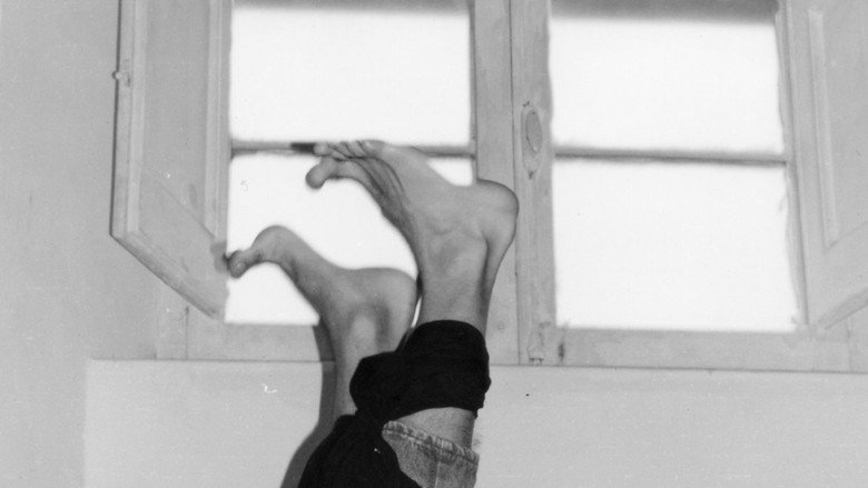 Suppietij still 1