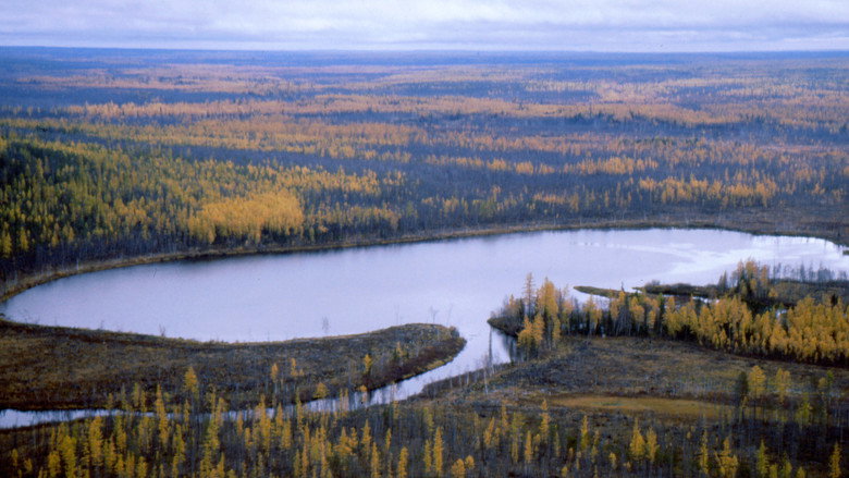 Big Bang in Tunguska still 7