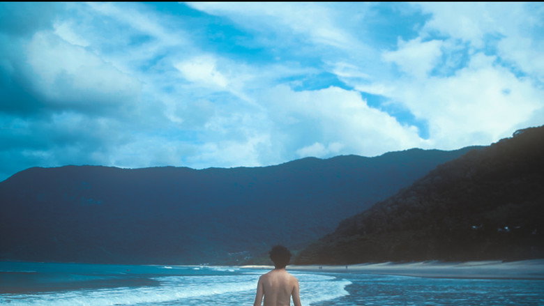 Baleia still 1