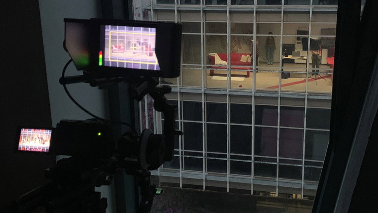 Meow Window still 1