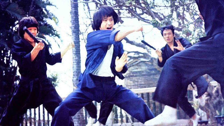 Fearless Dragons still 2
