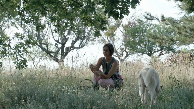 Trois oiseaux bleus still 8
