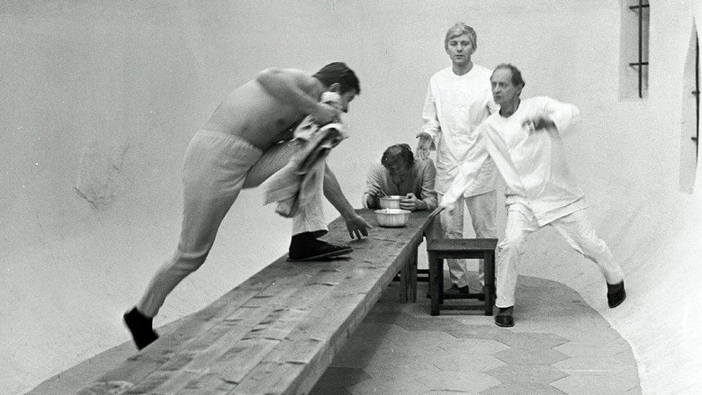 Madness still 7