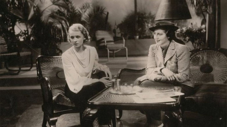 Bezdětná still 1