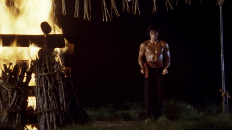 Shogun's Ninja still 2