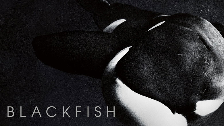 Blackfish still 8