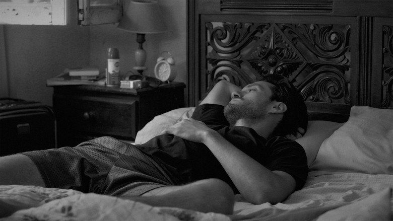 Perro Perro still 8
