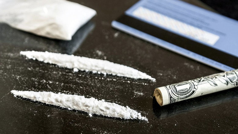 Cocaine: History Between the Lines still 1