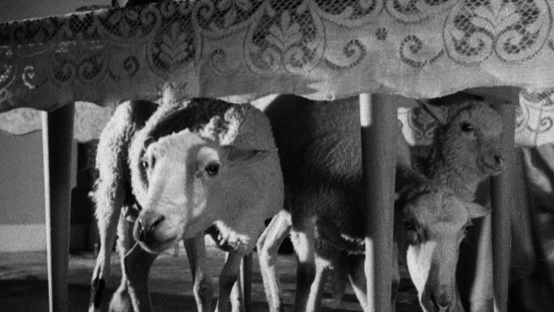 The Exterminating Angel still 5