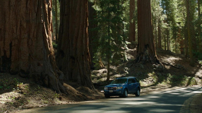 Sequoia still 1