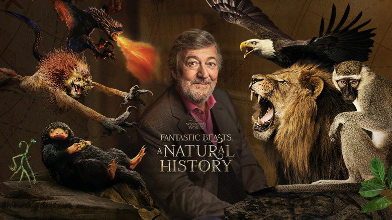 Fantastic Beasts: A Natural History still 6