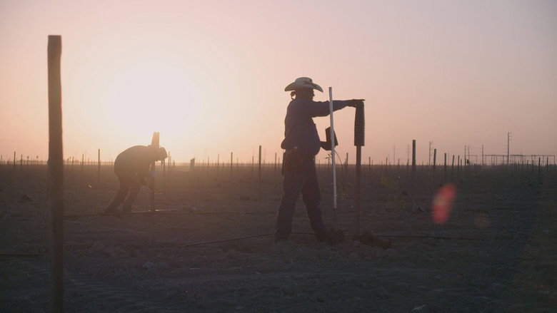 Oaxacalifornia: The Return still 4