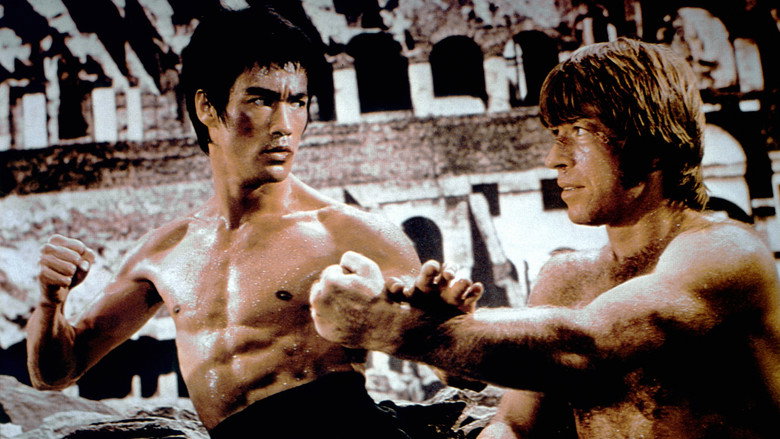The Way of the Dragon still 6