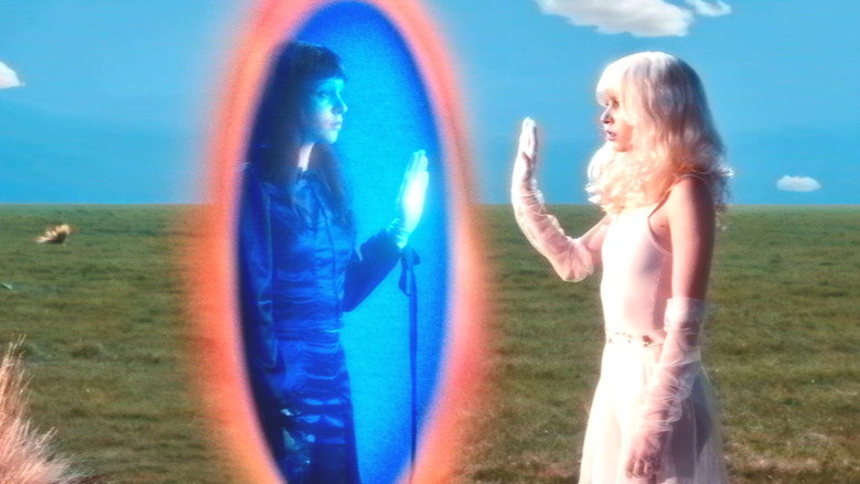 Imaginal Disk still 1