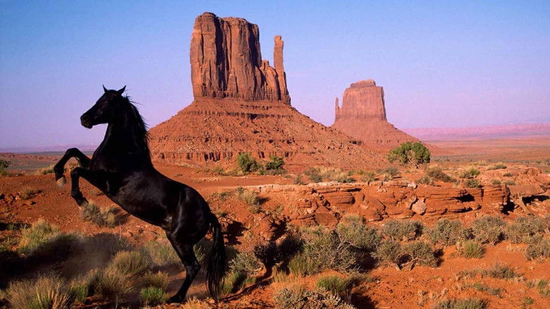 American Mustang still 1