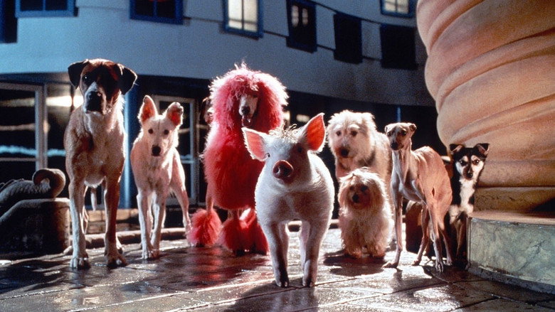 Babe: Pig in the City still 5