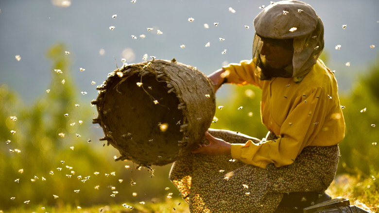 Honeyland still 2