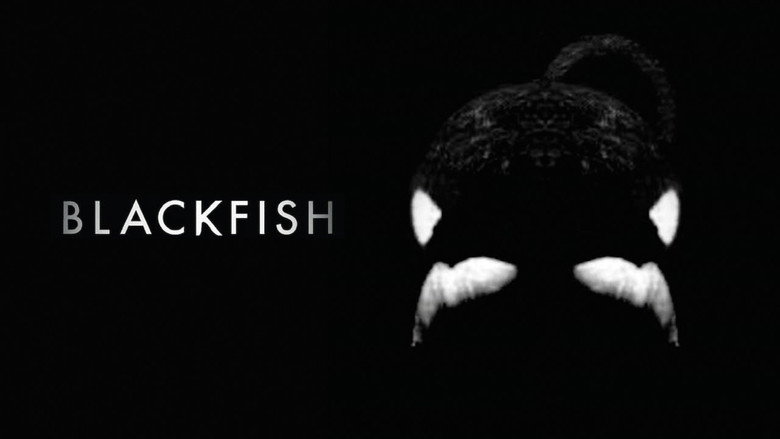 Blackfish still 7