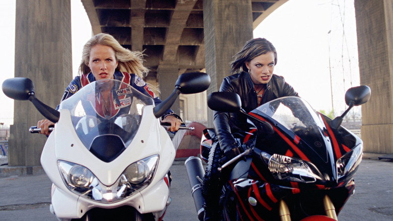Torque still 8