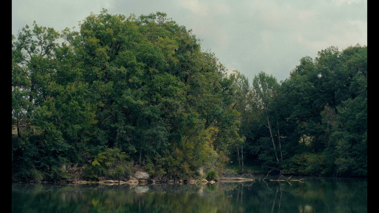 les grillons. still 2