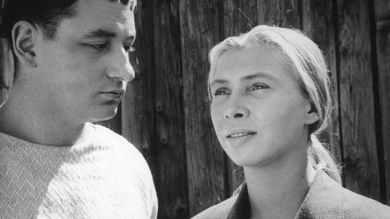 La Pointe Courte still 3