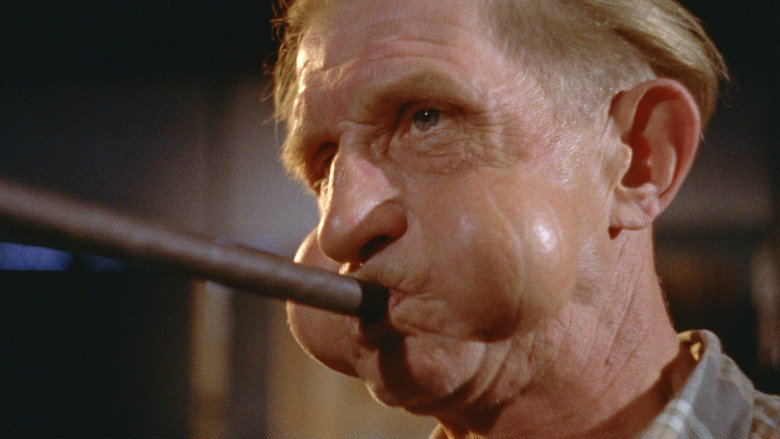 Glass still 4
