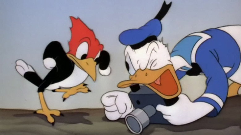 Donald's Camera still 1