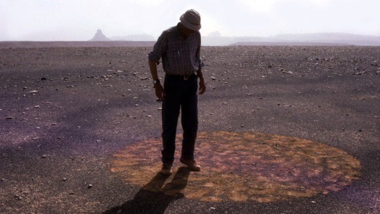 Stones and Flies: Richard Long in the Sahara still 1