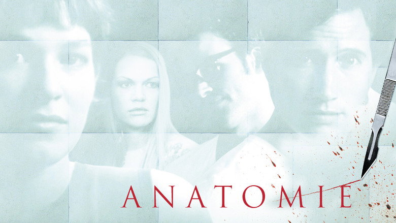 Anatomy still 8