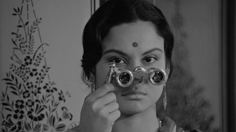 Charulata still 3