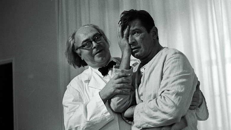 Madness still 8