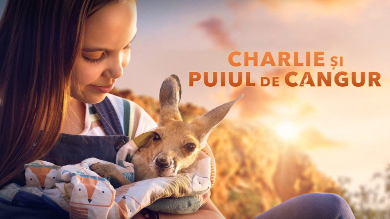 Kangaroo still 8