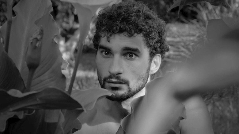 Perro Perro still 2