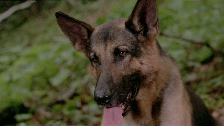 White Fang still 6