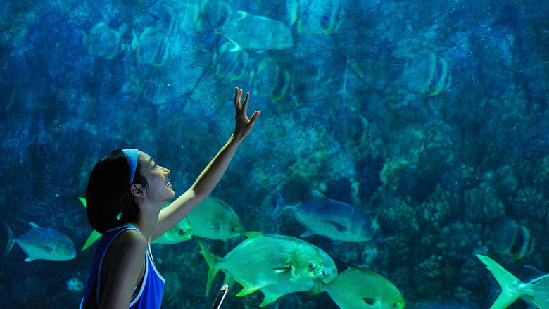 Ocean Heaven still 2