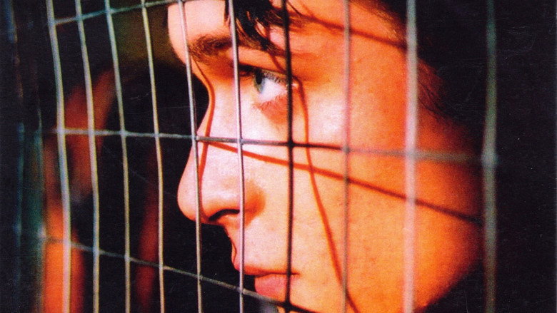Zatracení still 1