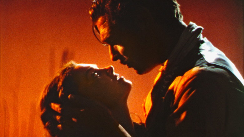 Glorious Technicolor still 4
