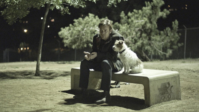 Beginners still 3