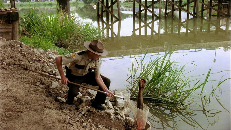 Swamp Shark still 5
