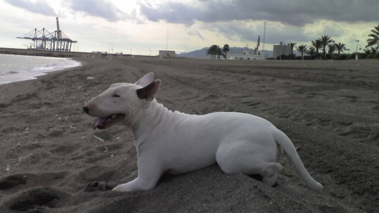 Baxter still 3