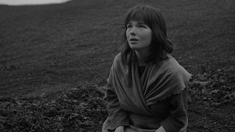 The Juniper Tree still 8